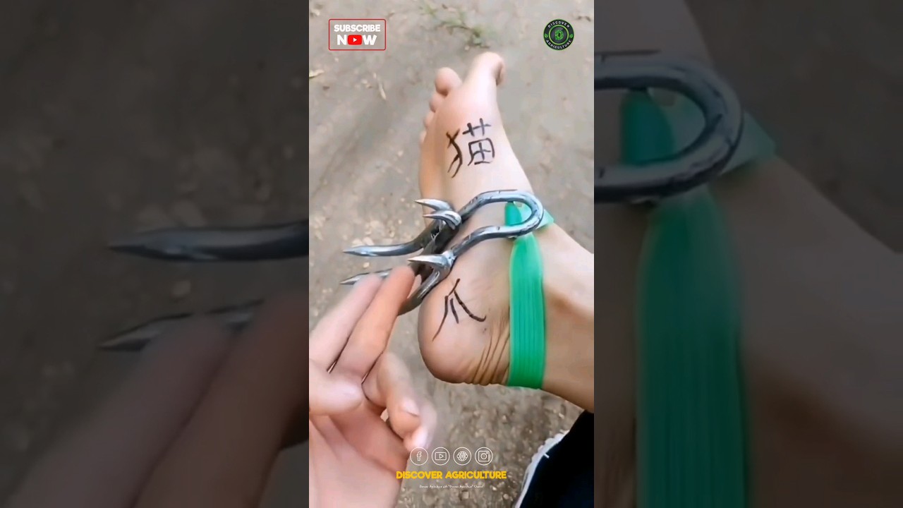 Simple Tree Climbing Tool😱