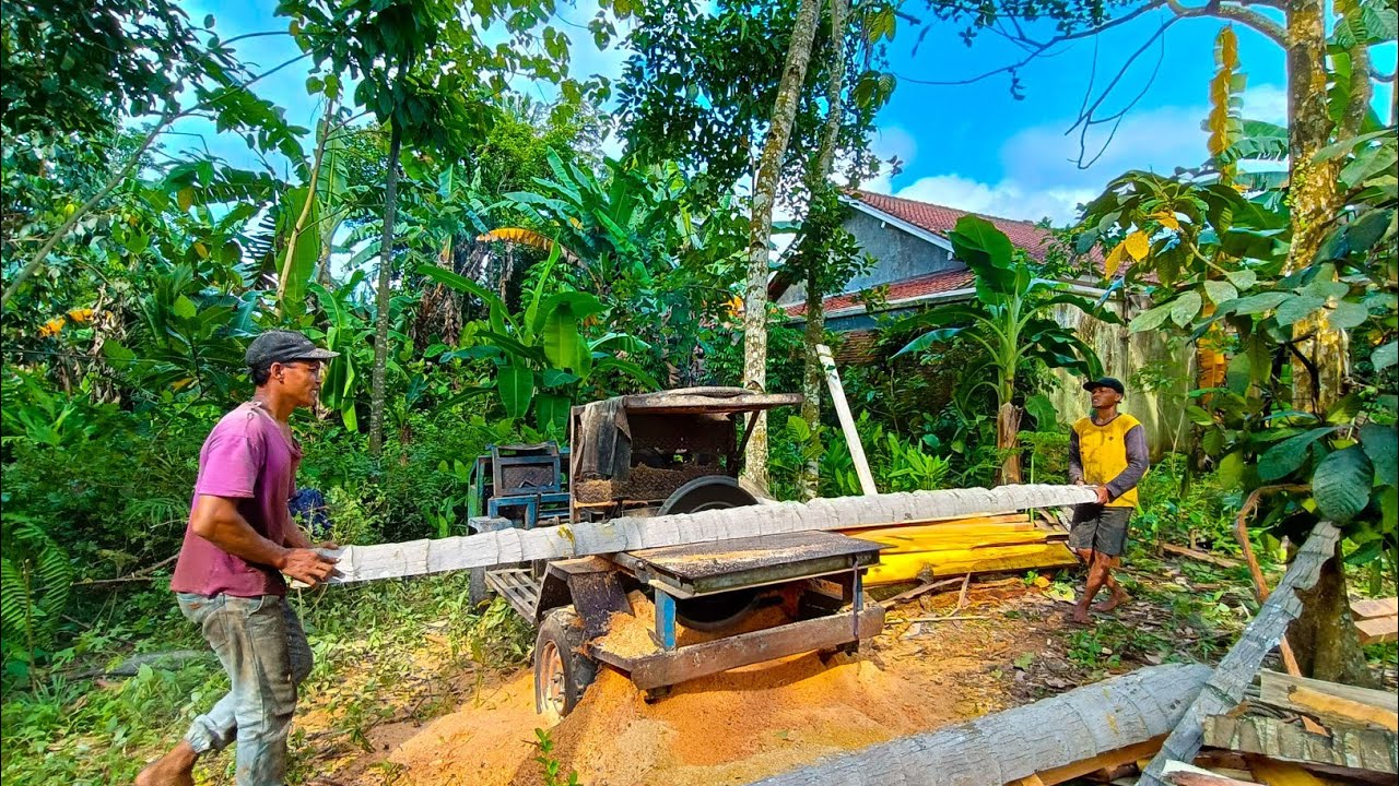 BIKIN BALOK KAYU KELAPA DENGAN GERGAJI SARKEL