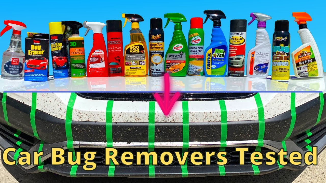 Bug Removers for Cars Tested (Before and After Comparisons)