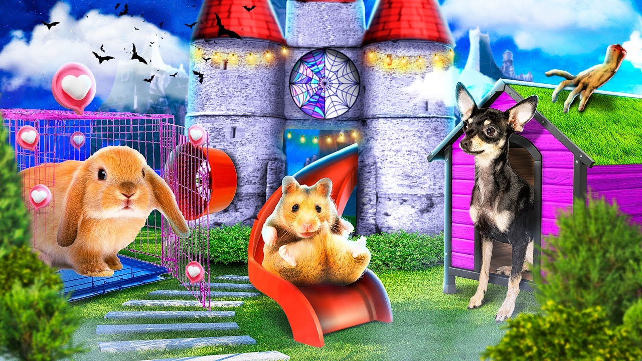 Makeover of Secret Room for Pets! We Found an Abandoned Secret Room!
