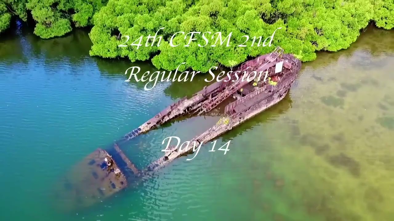 24th CFSM 2nd Regular Session Day 14