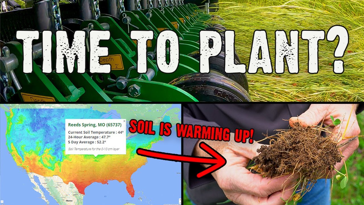 The Best Guide On When to Plant Spring Food Plots (698)