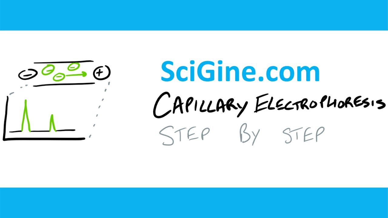 Capillary Electrophoresis - Protocol and Tutorial - Learn in 15 mins