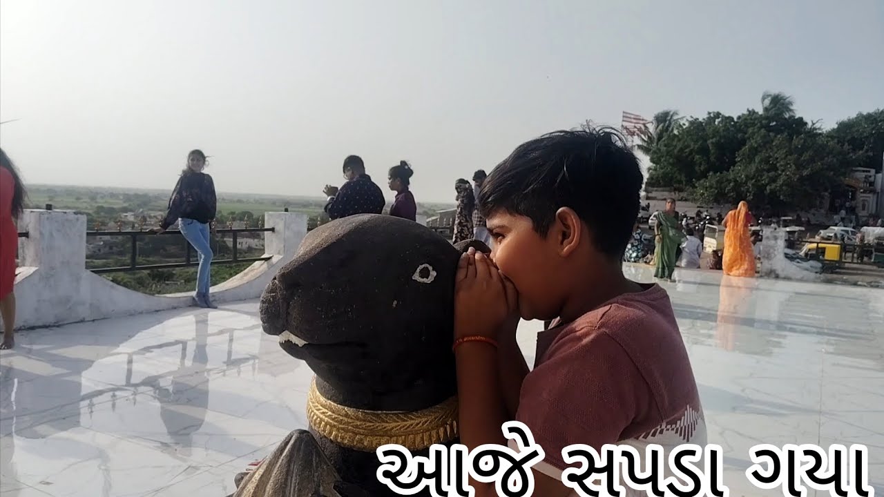 વિરાજ આવી ગયો#desivlogs 