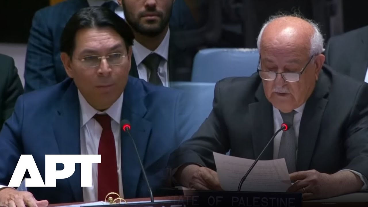 WATCH: Palestine & Israel Clash at UN Over Gaza Crisis | APT
