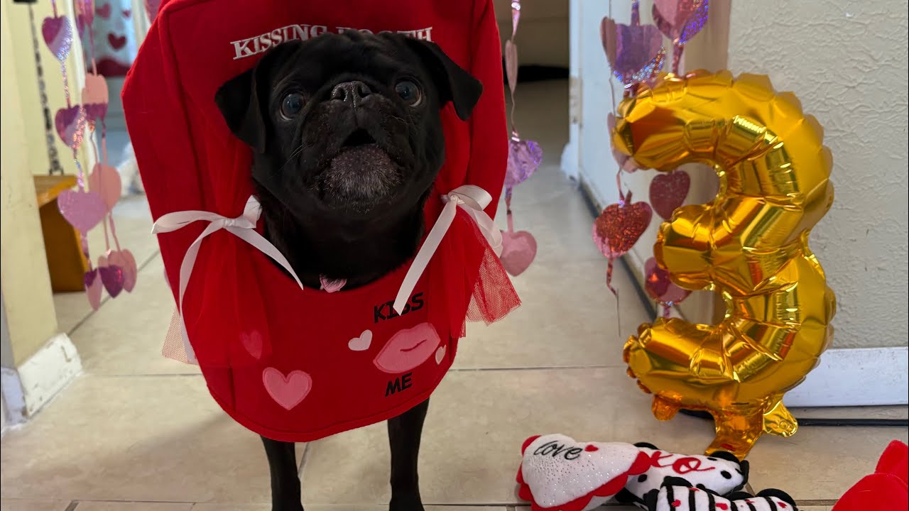 Ruby Rose turns 3!