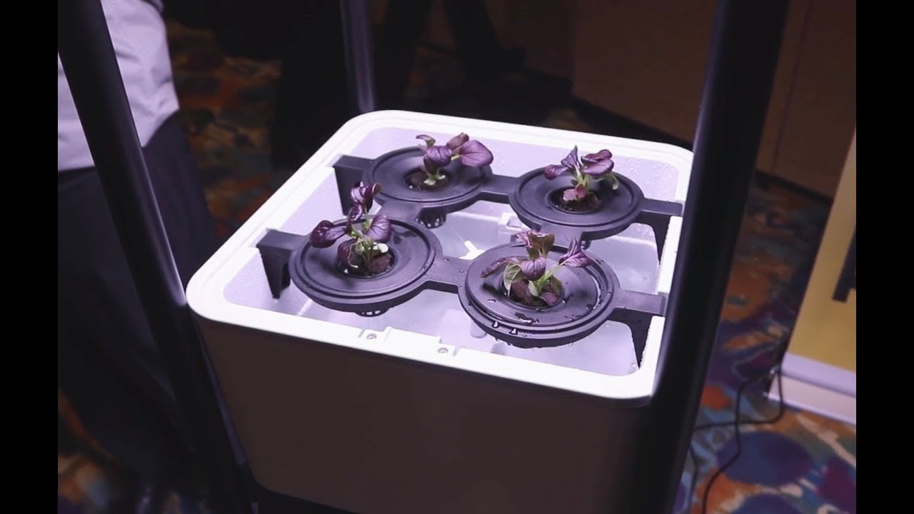 Miracle-Gro Twelve indoor growing system