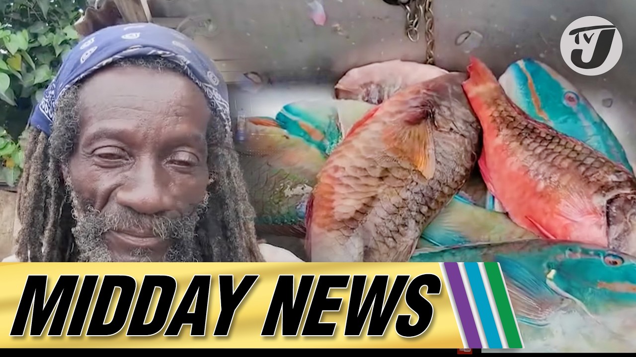 Fish Crisis for Easter? | Heavy Rains Cause Flooding in Ocho Rios #tvjmiddaynews