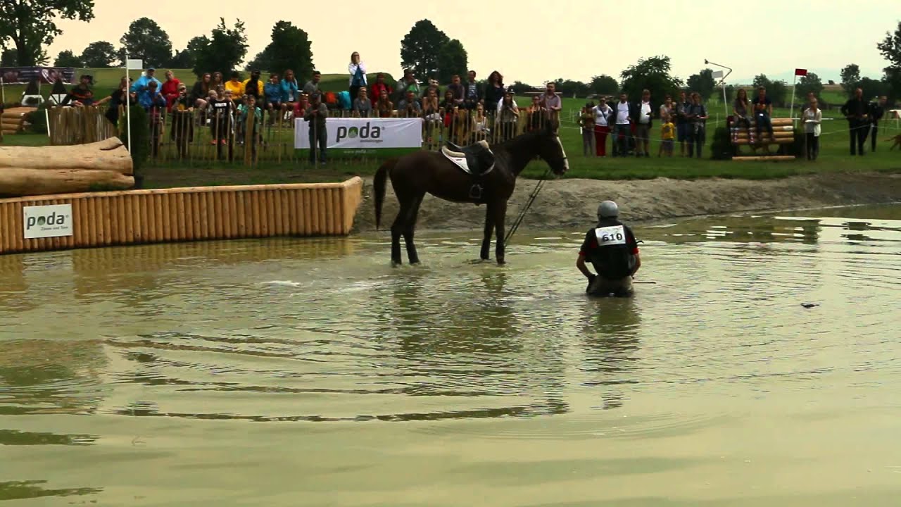 Jerzy Krukowski (POL) Apokalipsa M -Strzegom Horse Trials 2015 CICO 3*