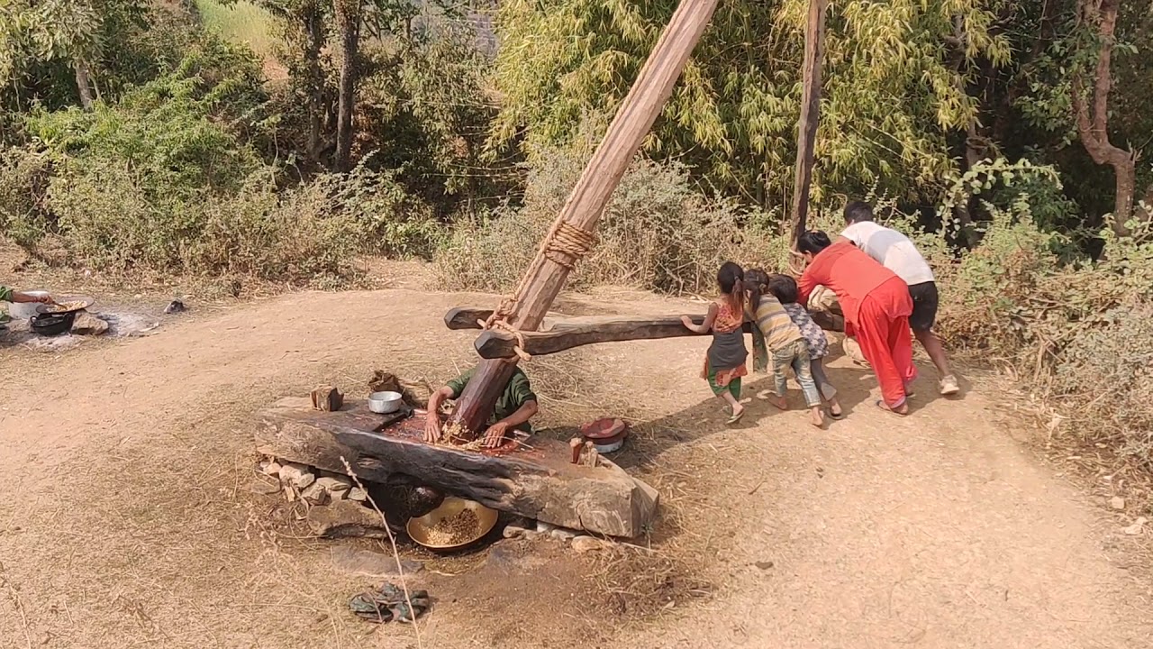Oilseed Crushing Device ( Kol in Nepali)