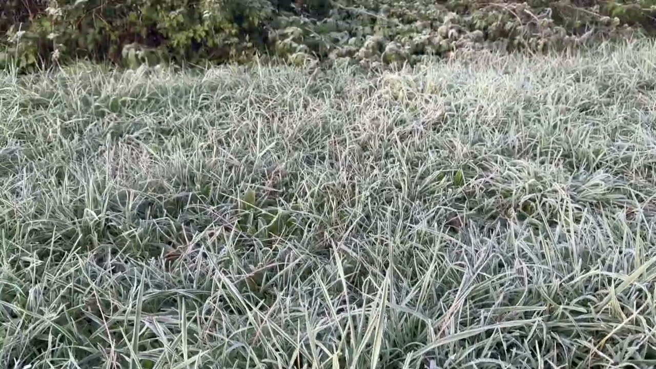 প্রকৃতির সুন্দর রুপ