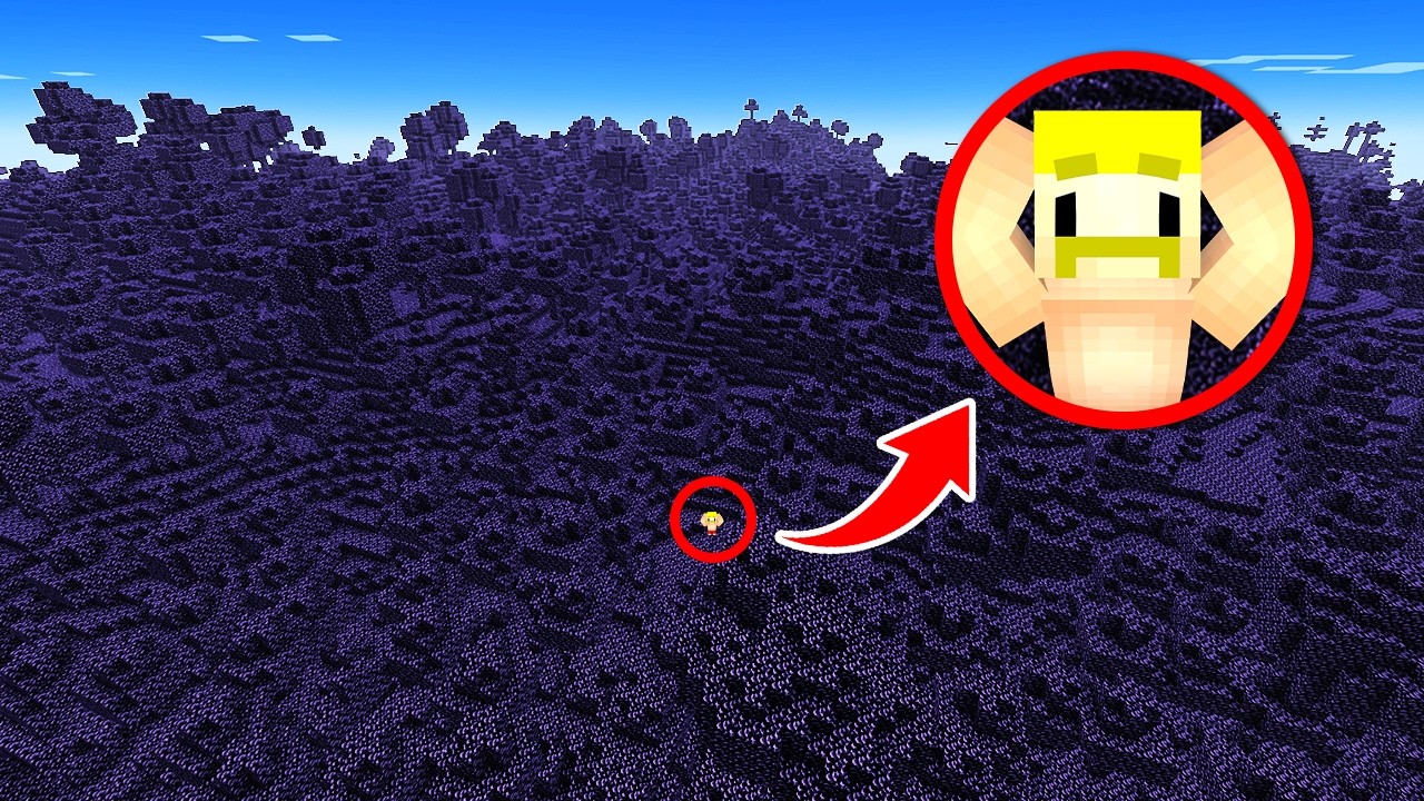 すべてが黒曜石になってしまった世界でエンドラ討伐【マイクラ】