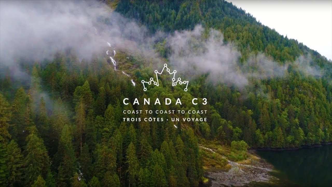 Spirit Bears | Les ours kermode