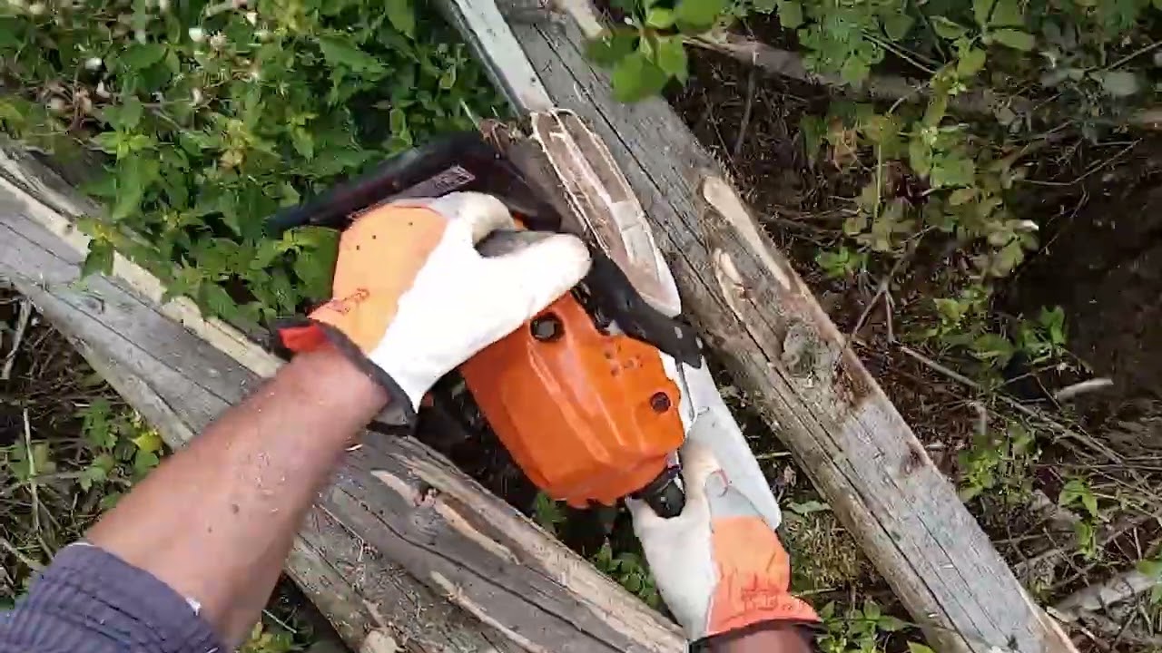 Bark beetle | Borkenkäfer | Kůrovec | STIHL MS261, ZETOR 7745