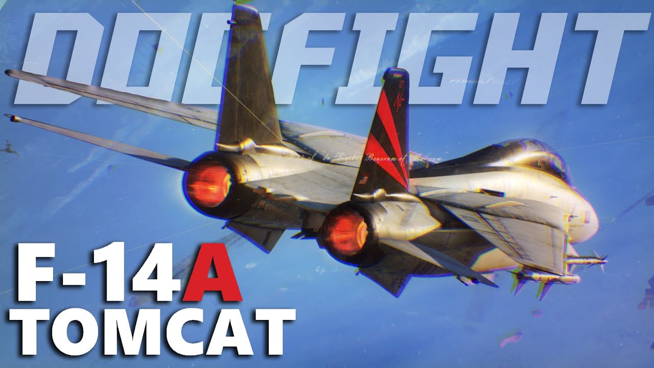 F-14A Tomcat Vs F-14B Dogfight First Impressions | Digital Combat Simulator | DCS |