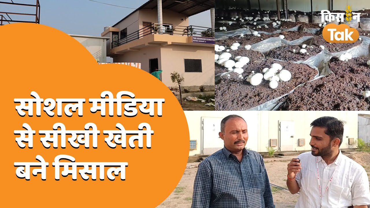 नौकरी छोड़कर Patna के दीनानाथ शर्मा ने शुरू की Mushroom की खेती, जानें कमाई का पूरा गणित | Kisan Tak