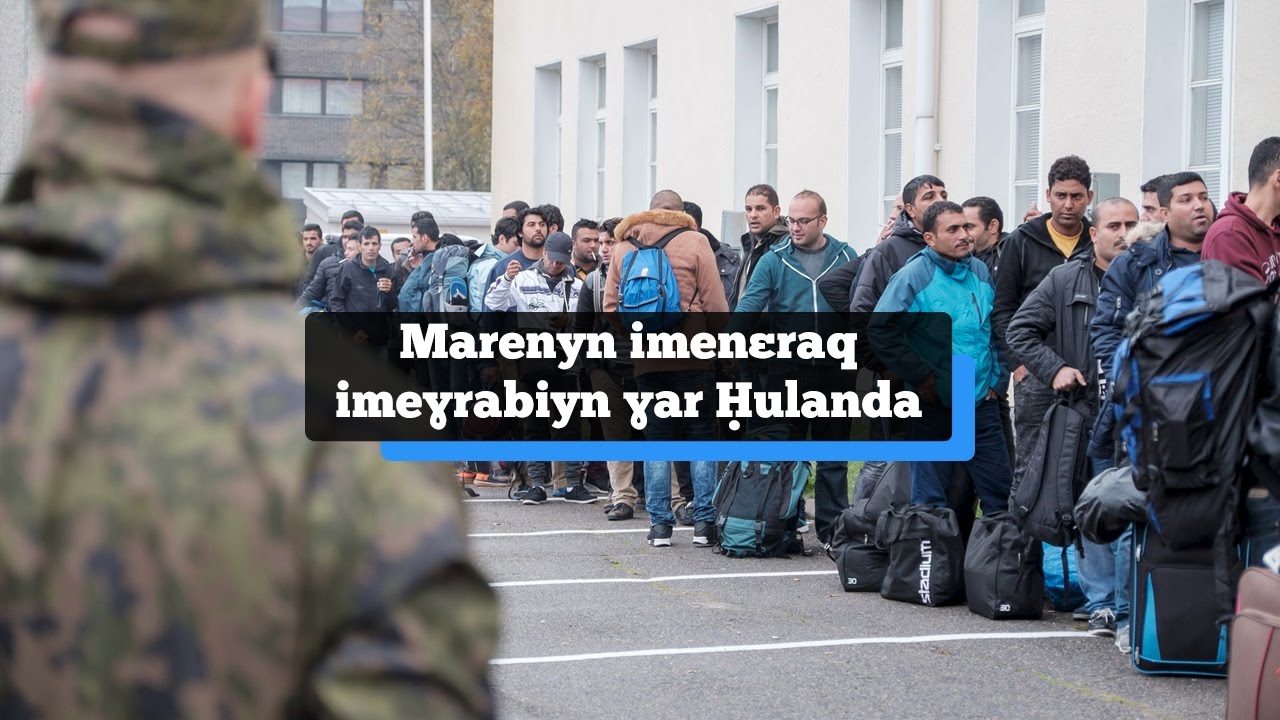INEƔMISN - Marenyn imenɛraq imeɣrabiyn ɣar Ḥulanda