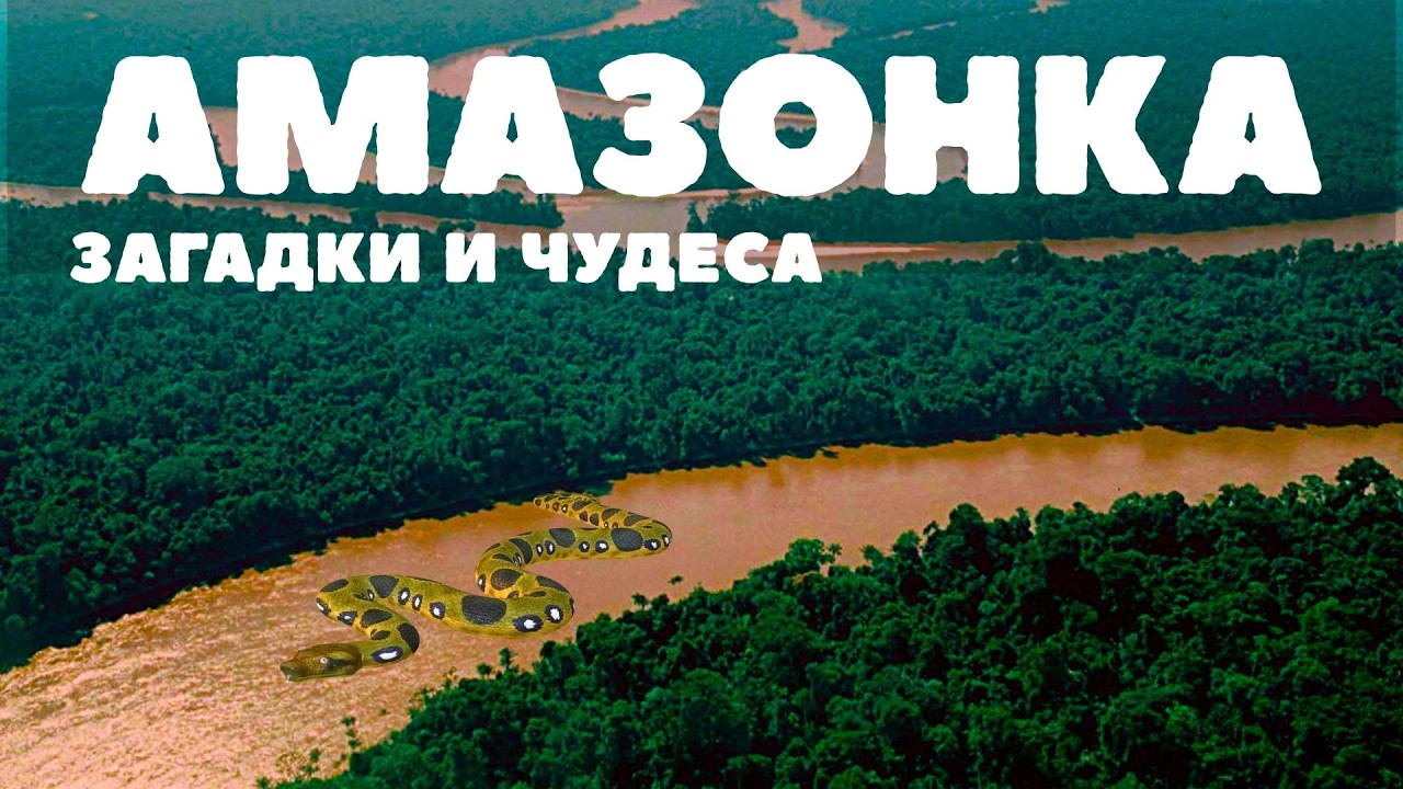 🌍 Амазонка — тайные загадки и чудеса величайших джунглей мира