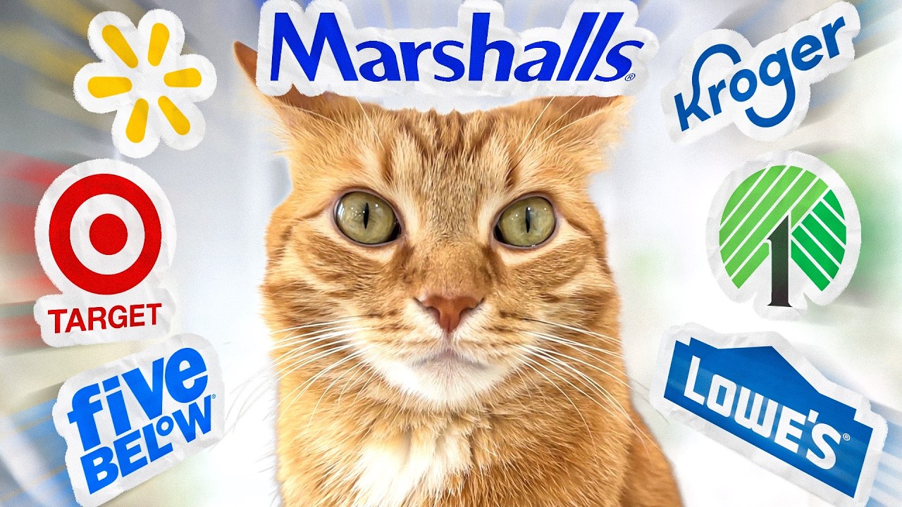 Kurt Ranks Every Retailer (Cat Products)