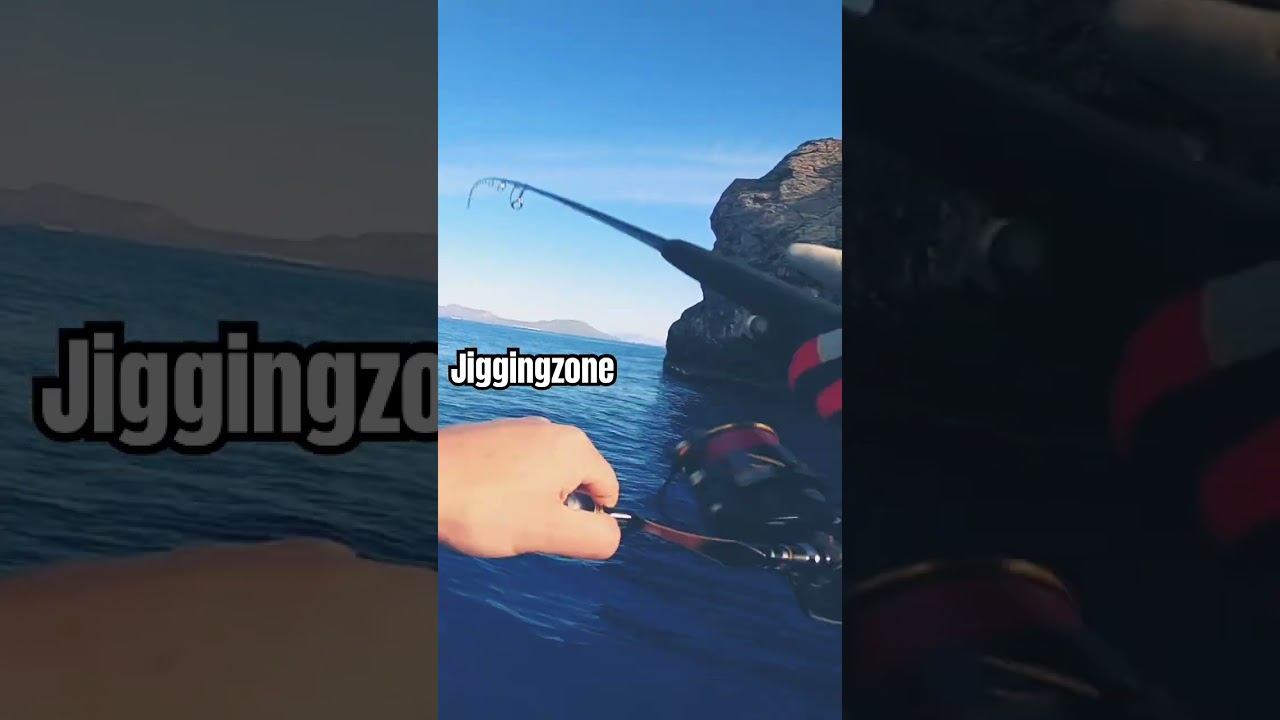 ZENAQ TOBIZO PENN AUTHORITY STRIKE #fishing #&psi;ά&rho;&epsilon;&mu;&alpha; #zenaq #penn #mancing #tobizo