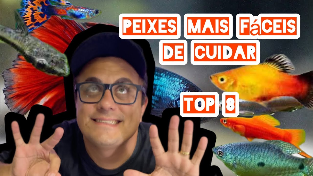 TOP 8 PEIXES MAIS F&Aacute;CEIS DE CUIDAR NO AQUARISMO