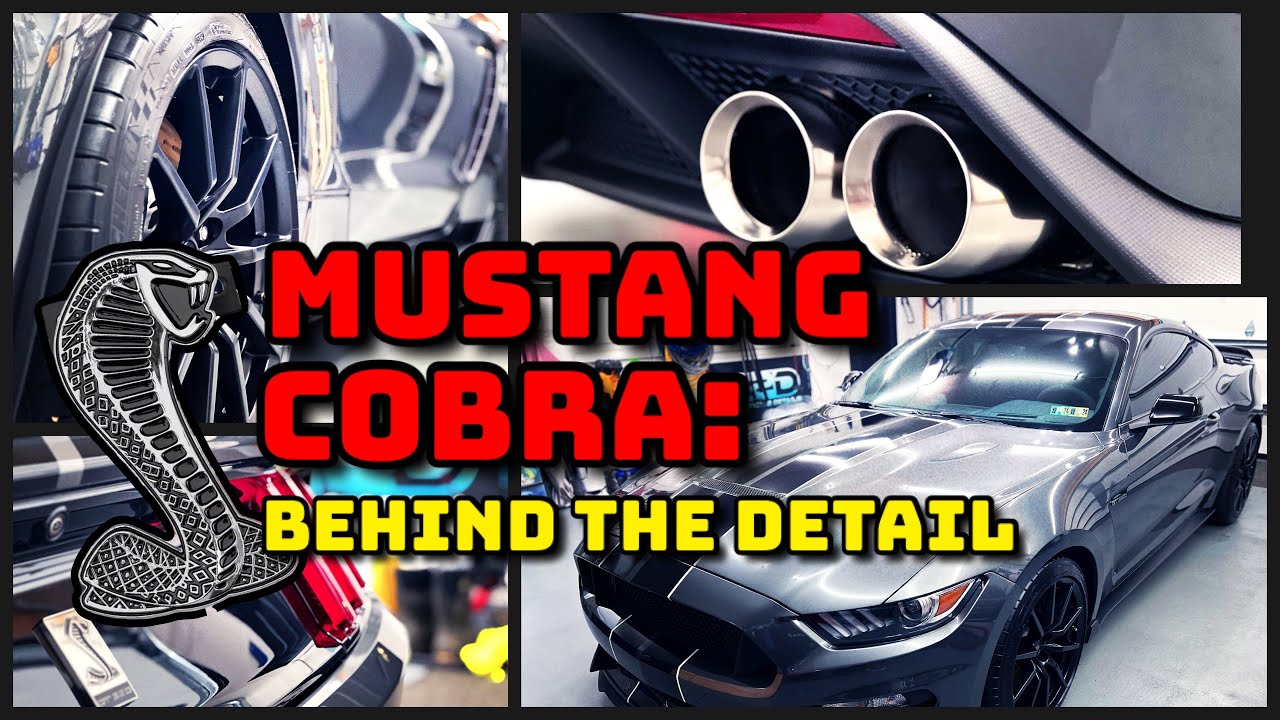 Ford Mustang Cobra-  Behind The Detail Tips & More!
