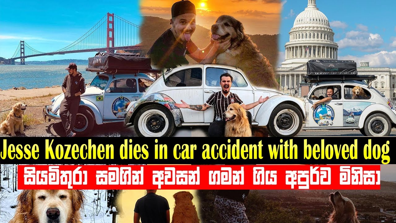Jesse Kozechen dies in car accident with beloved dog | ආදරණිය මිතුර සමගින් අවසන් ගමන් ගිය ඔහු | news