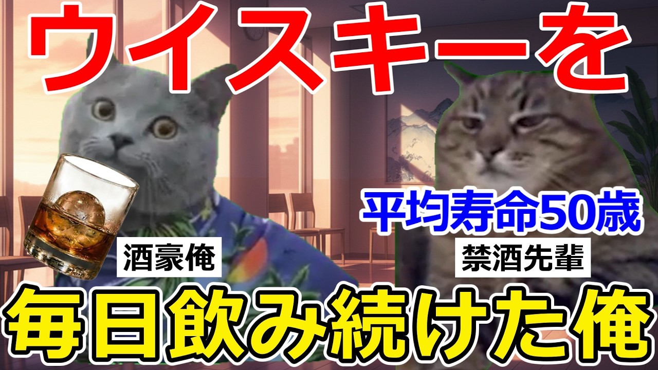 【猫ミーム】酒豪俺、ウイスキーを毎日１瓶飲んでしまうｗ