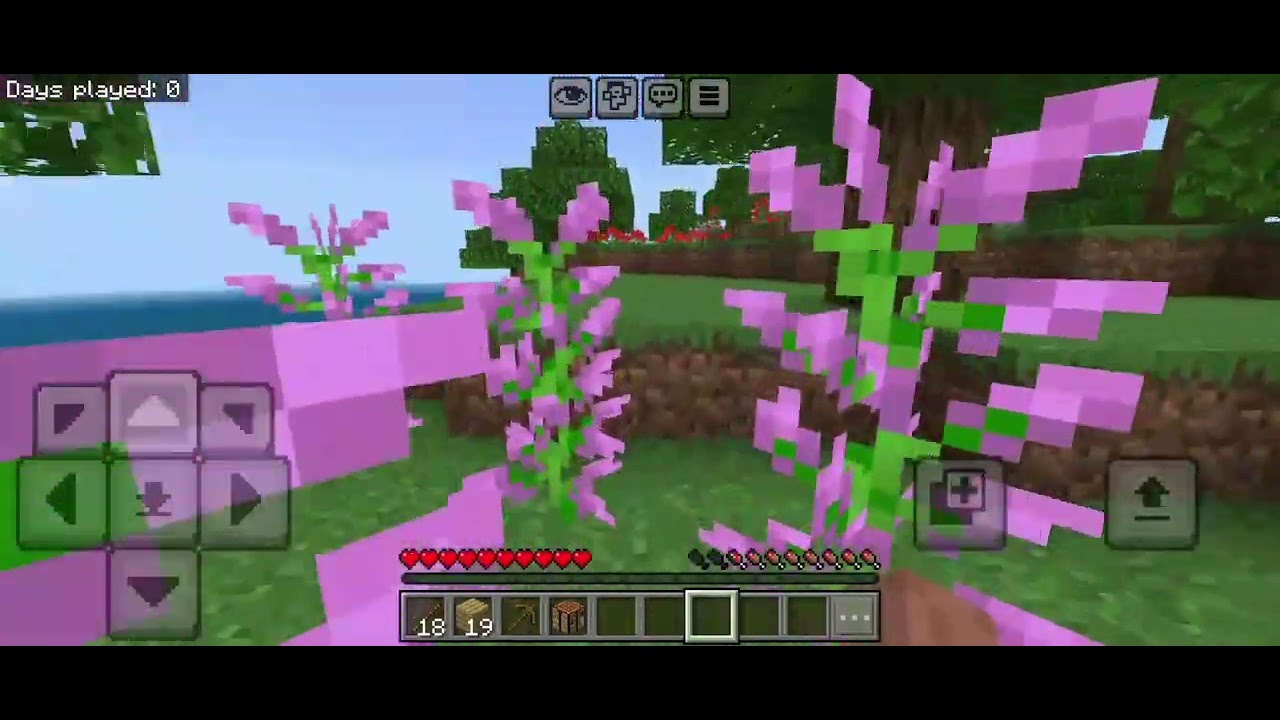 Minecraft gameplay 1
