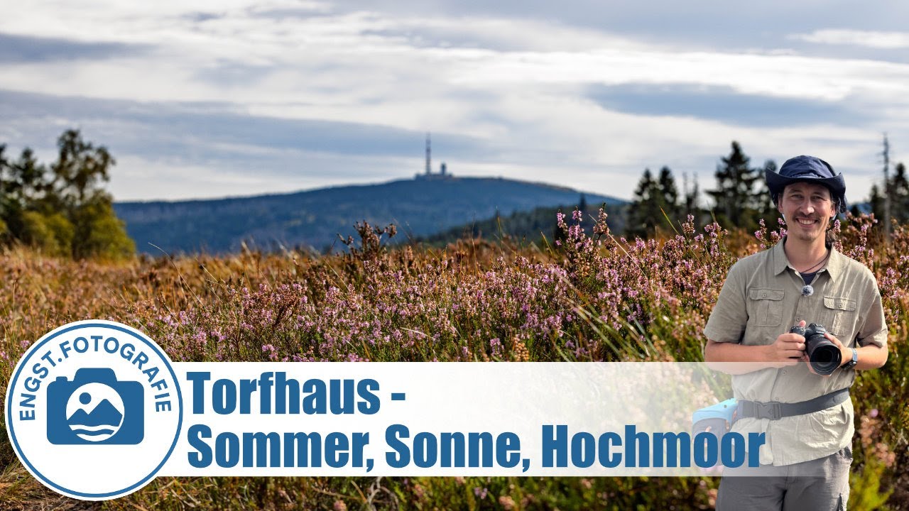 Moorweg Torfhaus – Magisches Licht im Harzer Hochmoor