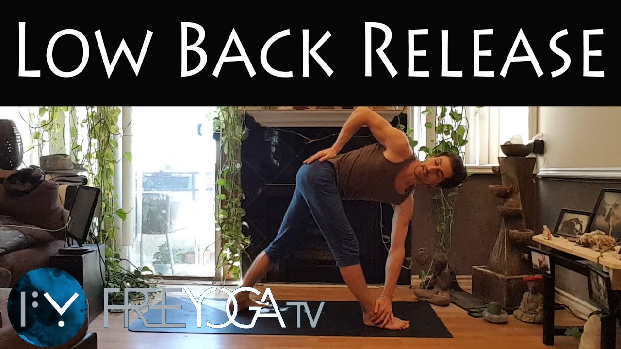 20 min Low Back Pain Relief | Yoga | Stephen Beitler Taha Yoga