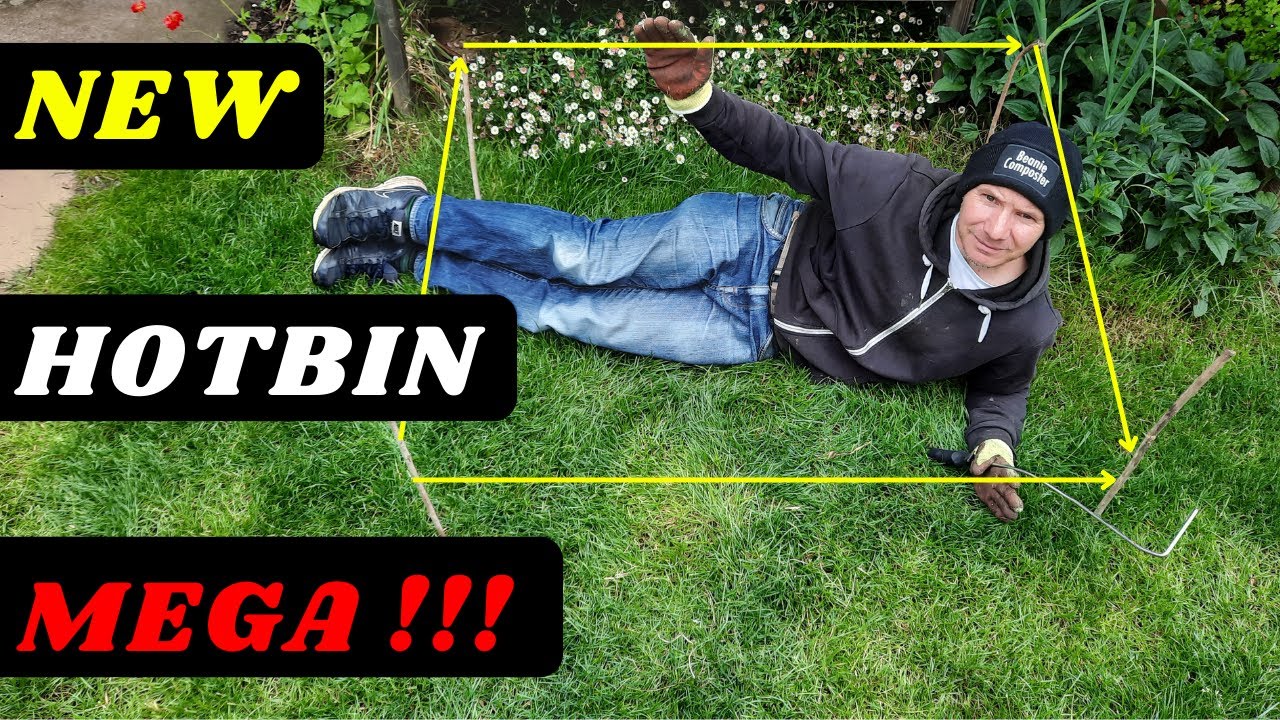Обзор нового Hotbin Mega