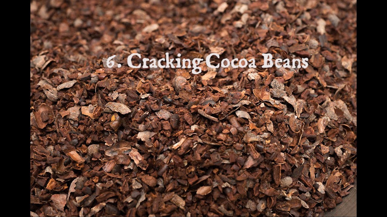 6  Cracking cocoa beans