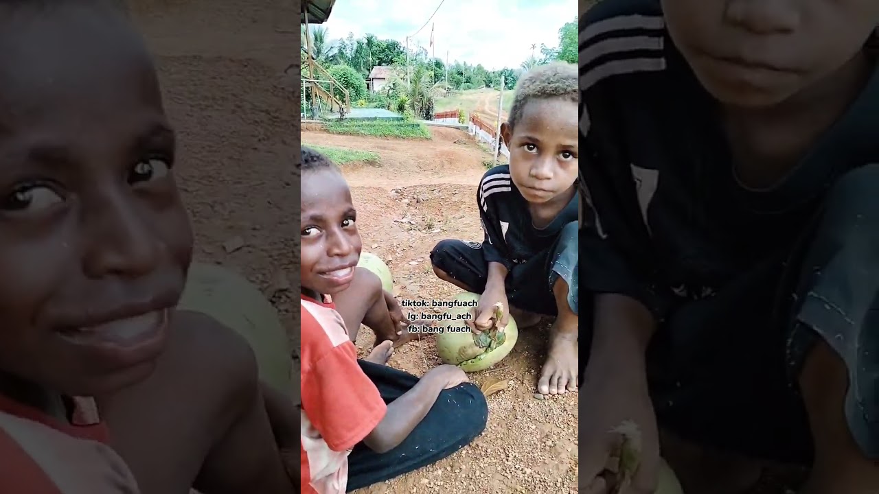 59. piceng dan piyus bawa kelapa muda mau tukar jajan #bangfuach #anakpapua