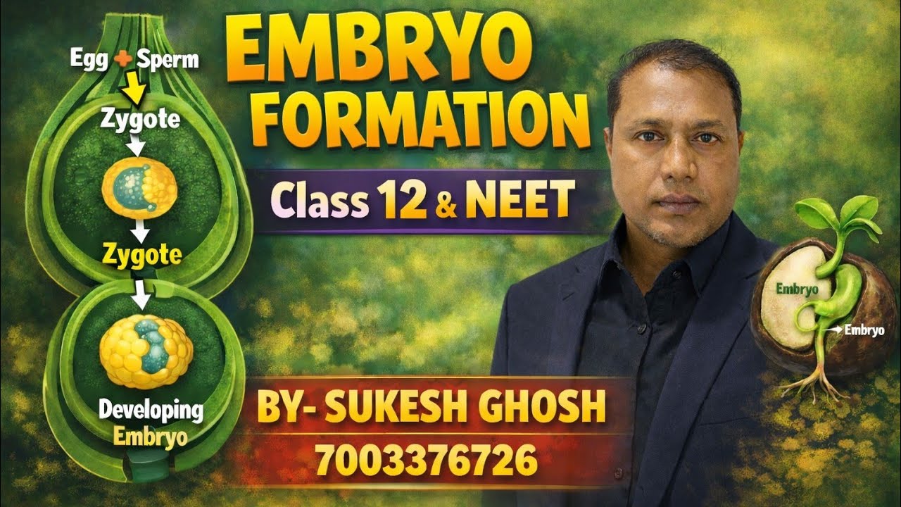 Embryo formation class 12 &NEET biology. Sexual reproduction in flowering plants 