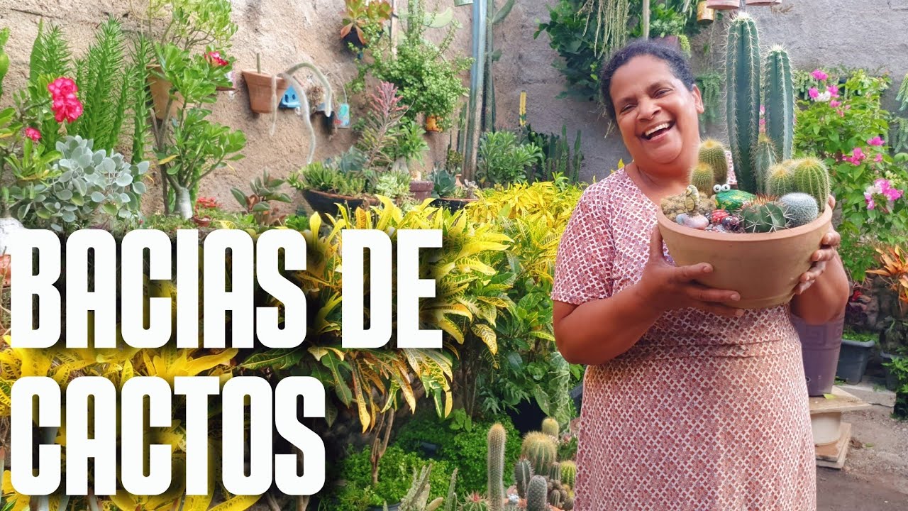 BACIA DE CACTOS: COMO CULTIVAR CACTOS EM BACIAS | MAMILARIAS, EUFORBIAS, MANDACARU, PARÓDIA E OUTROS