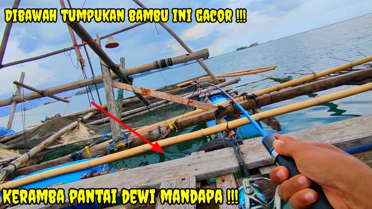 Mancing Dikeramba Pantai Dewi Mandapa !! Mancing Pinggiran Laut Lampung