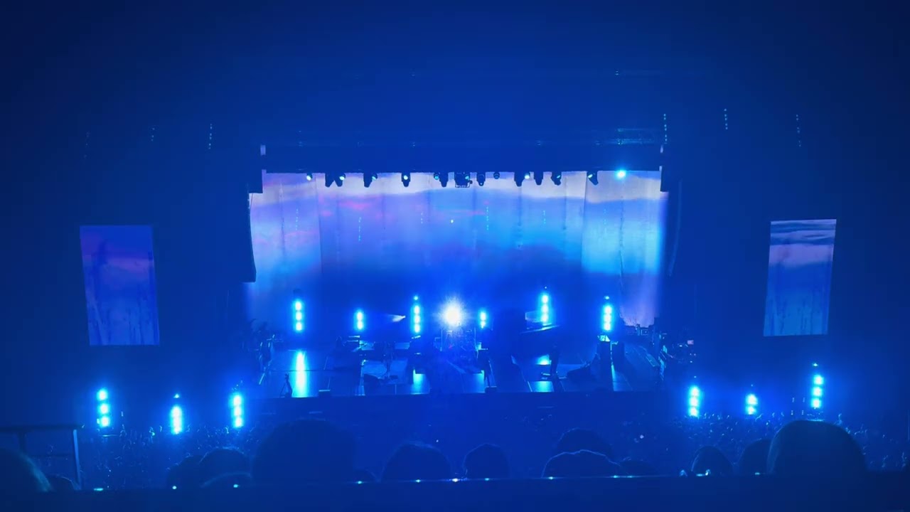 【my bloody valentine】come in alone