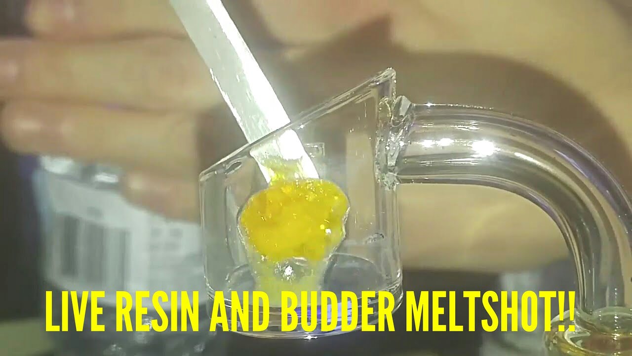 LIVE RESIN AND BUDDER MELTSHOT !!!