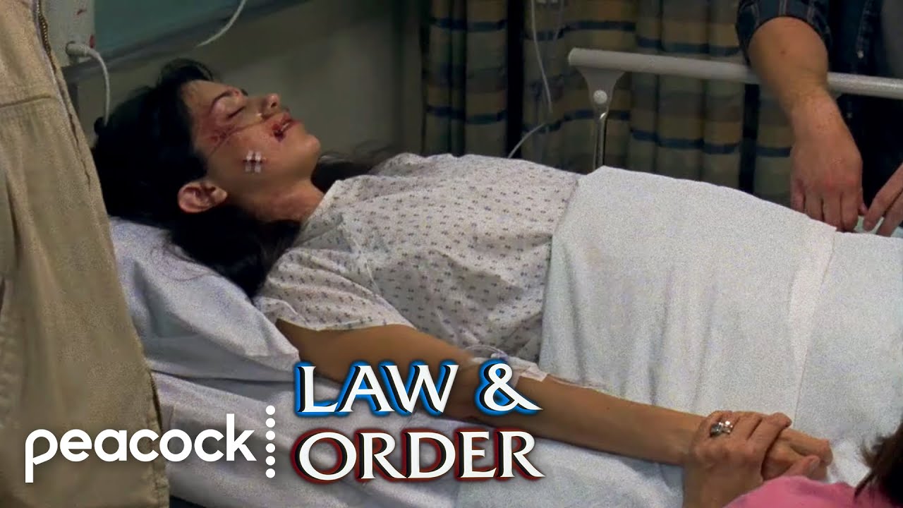 A Scientist's Controversial Research | Law & Order