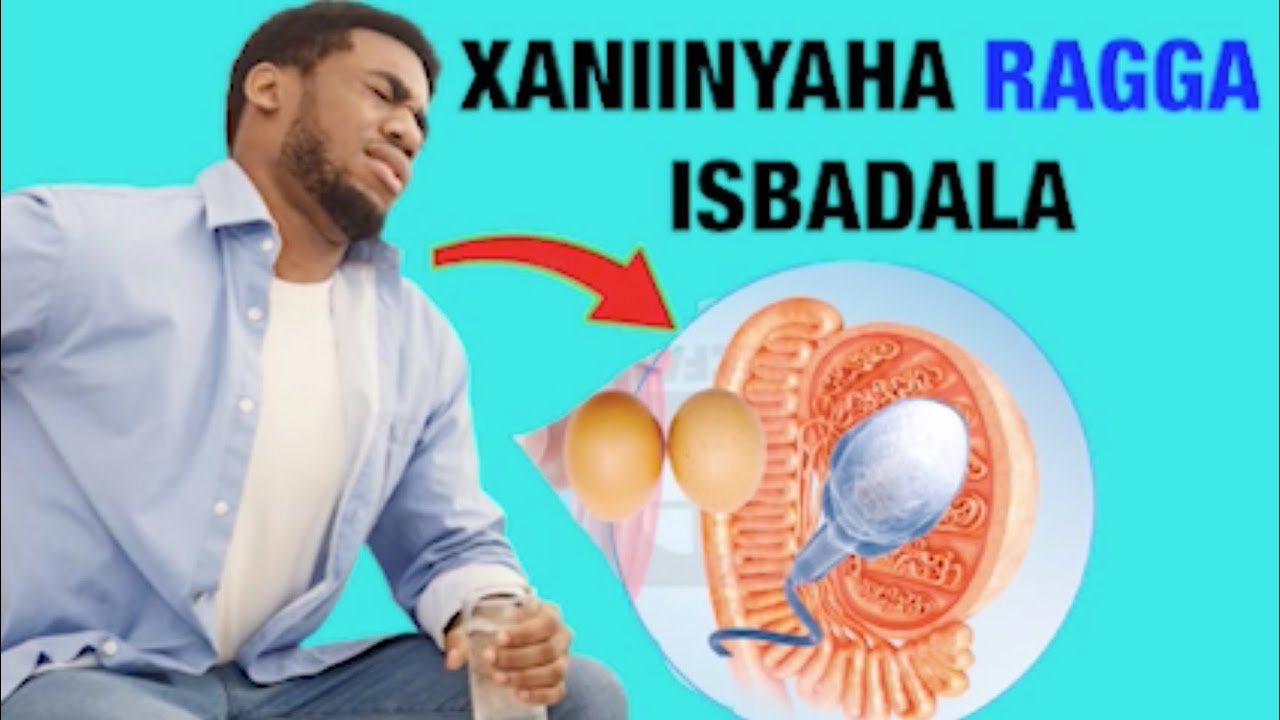 ISBADALKA KU IMAADA XANIINYAHA RAGGAA......Drfaris Al attas