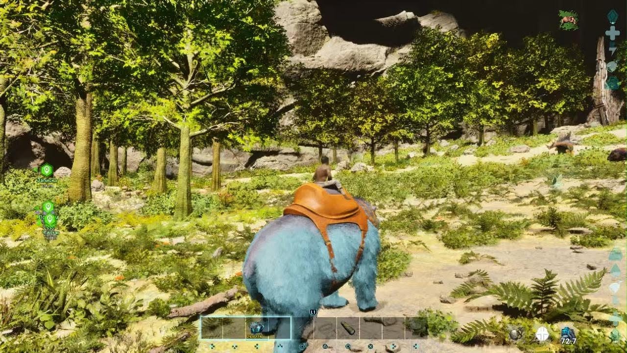 Mīļākā kartīte😍