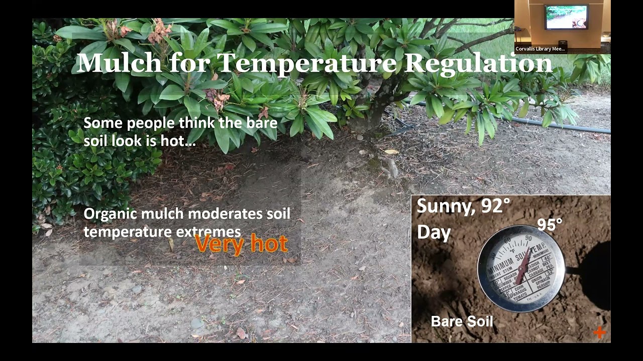Mulch Matters by Signe Danler,  OSU Extension and Benton County Master Gardener