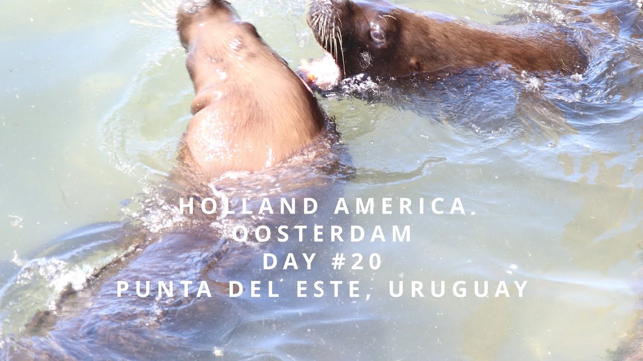 Holland America Oosterdam Day #20 Punta del Este Uruguay