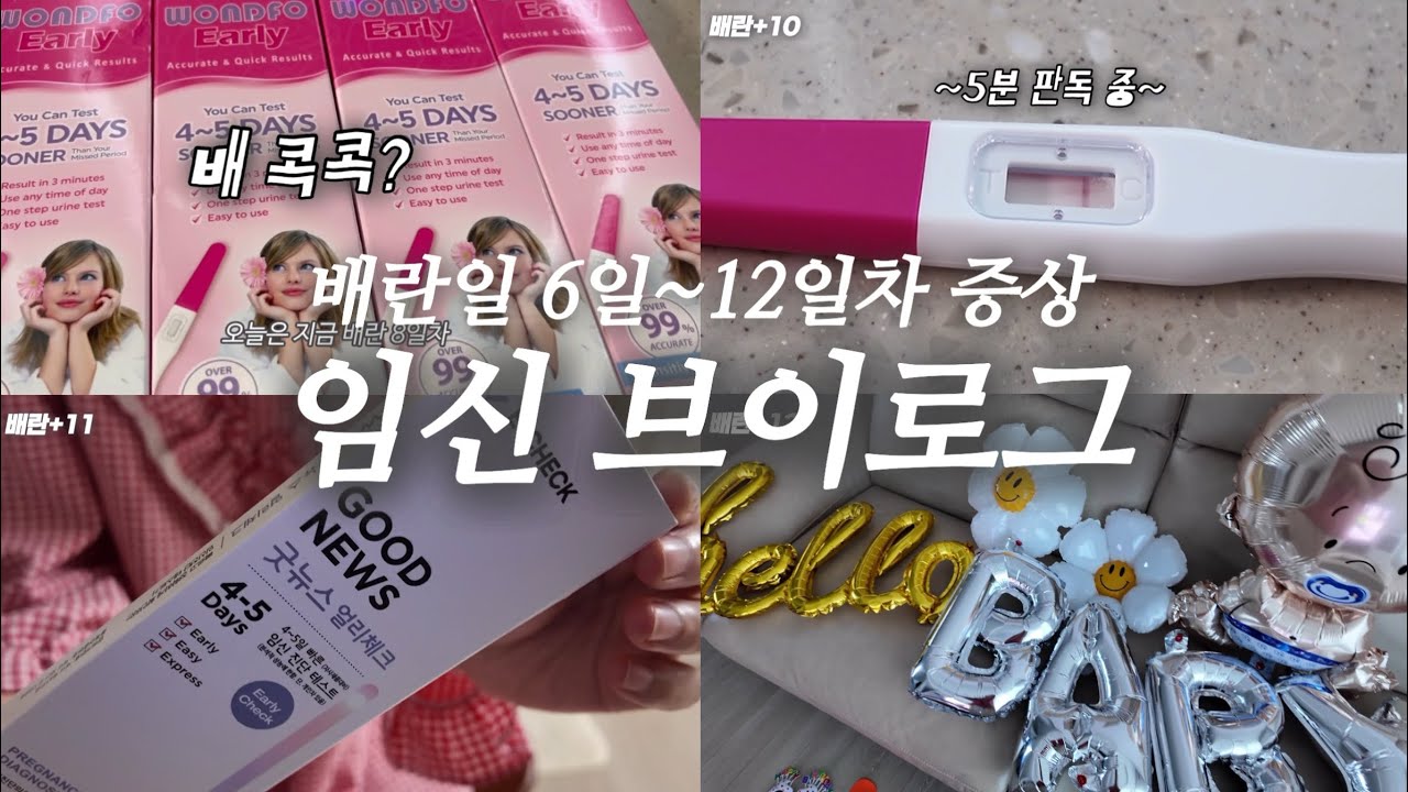 임신 브이로그ㅣ배란 6일차~12일차 증상,임테기의 노예,임신결과는? 임밍아웃?!