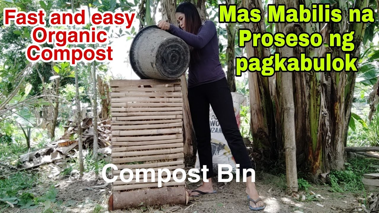 Mabilis at simpleng Paraan ng paggawa ng Compost. (Organic Compost)
