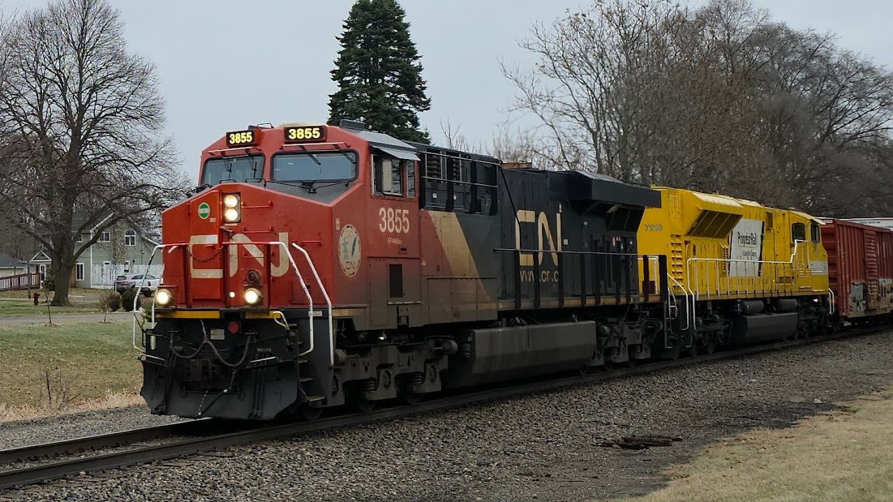 CN   M   399
