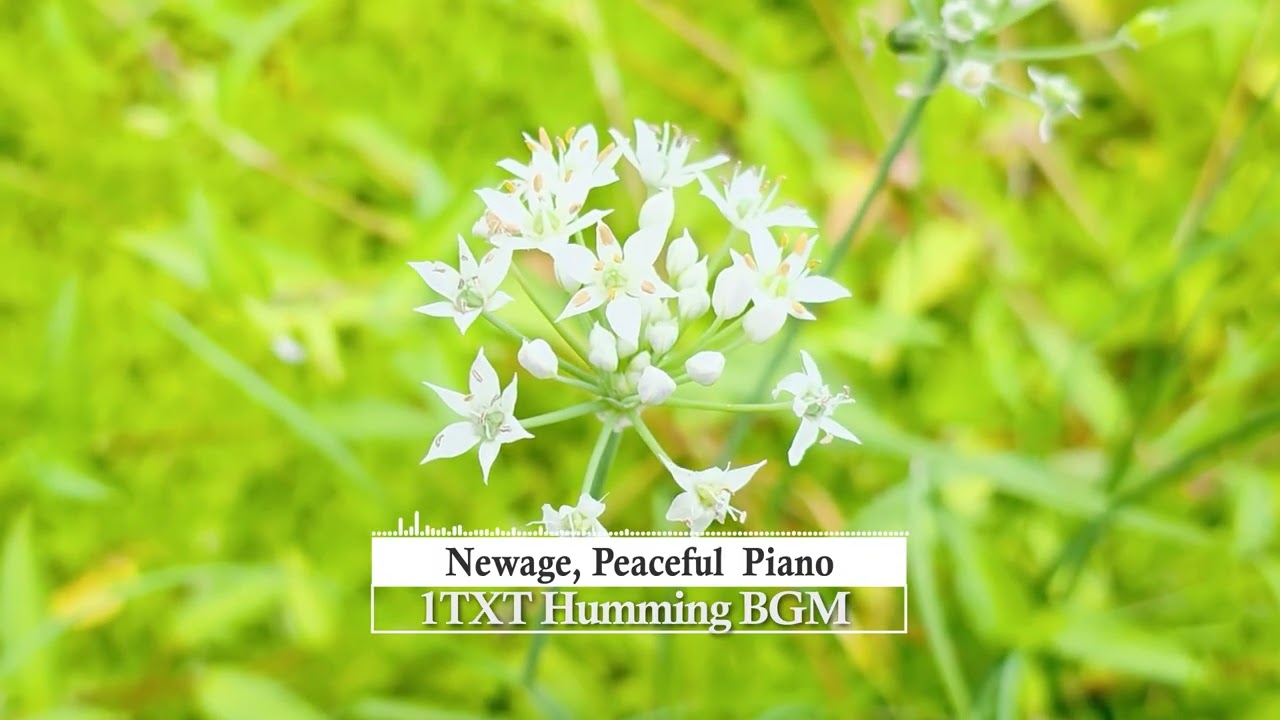 𝐏𝐥𝐚𝐲𝐥𝐢𝐬𝐭 🎵 Peaceful New Age Music to Calm the Mind and Soul 🎧 Healing, Relaxation