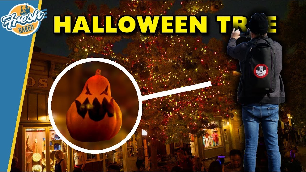 HISTORY of the Halloween Tree + Wonderful dinner | Disneyland 2019-09-28 Pt. 2