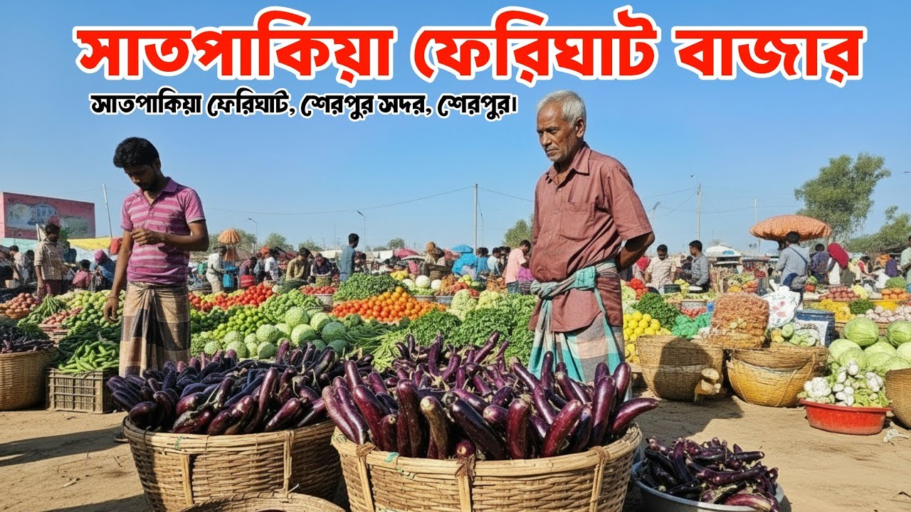 ১৫ জানুয়ারি ২০২৬, সবজির পাইকারি আপডেট | ফেরিঘাট বাজার | Biggest Vegetable market in Bangladesh